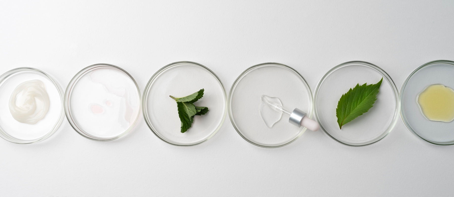 Ingredient Transparency: What You Need to Know About Your Formulations